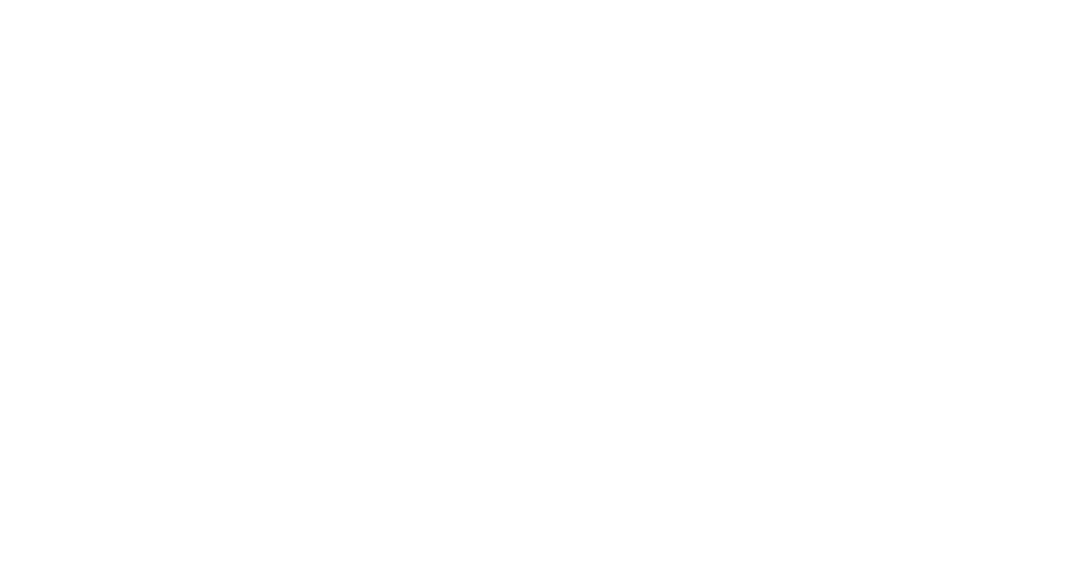 Virtual Leadership Institute 2025 Logo
